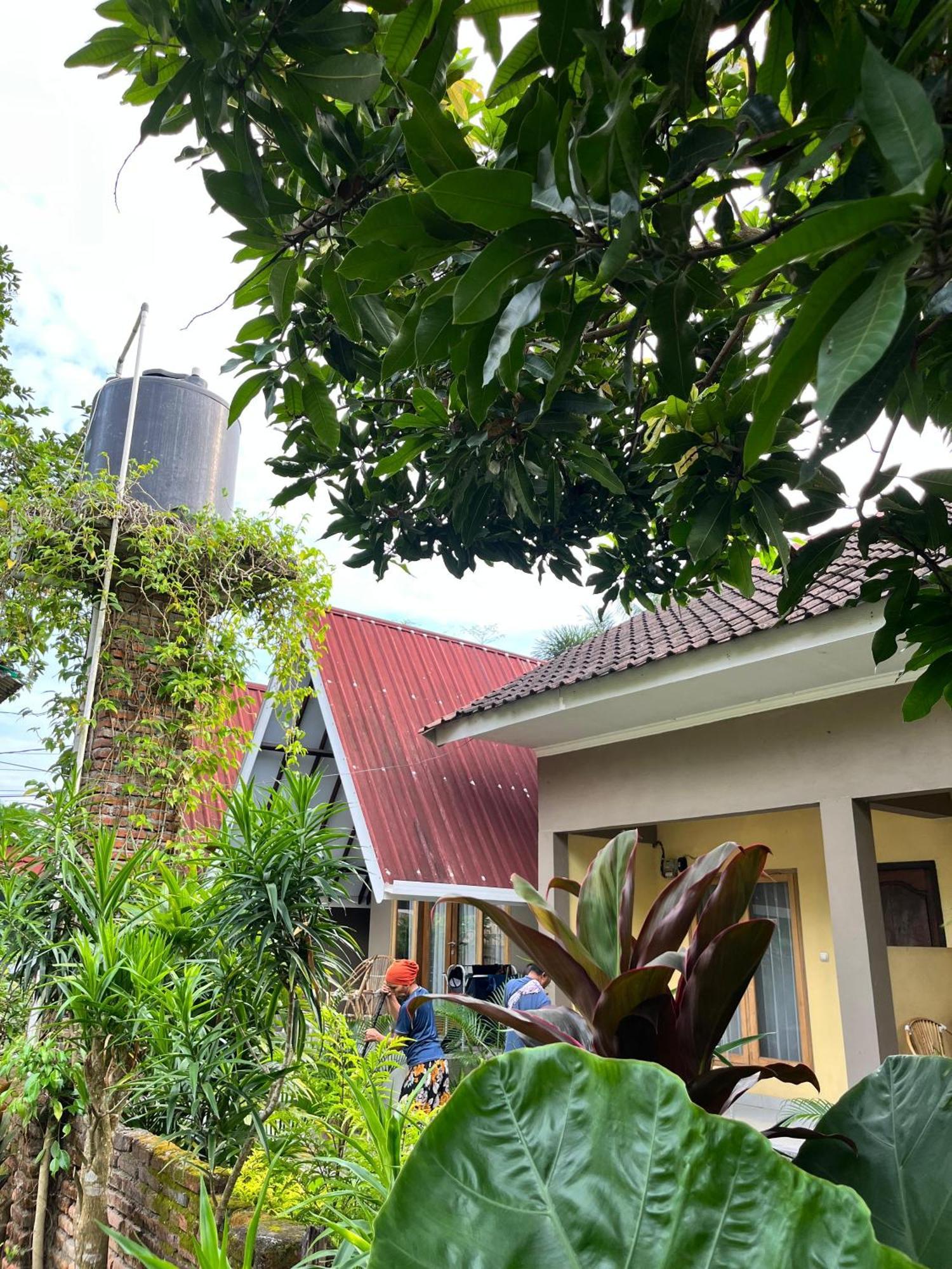 Honey Homestay *